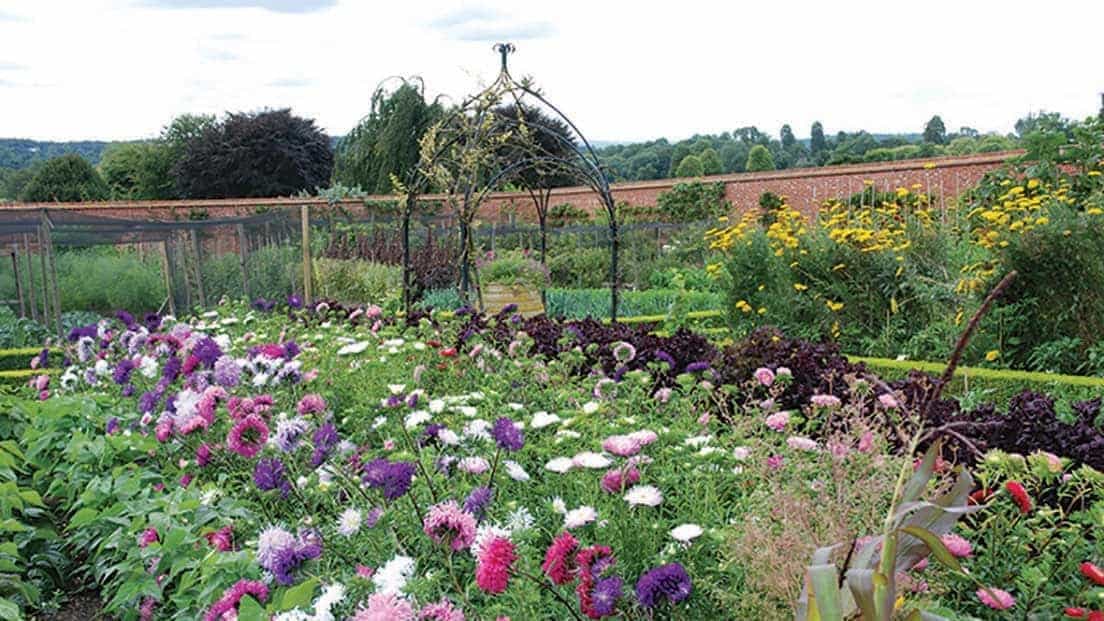 Titsey Place and Gardens